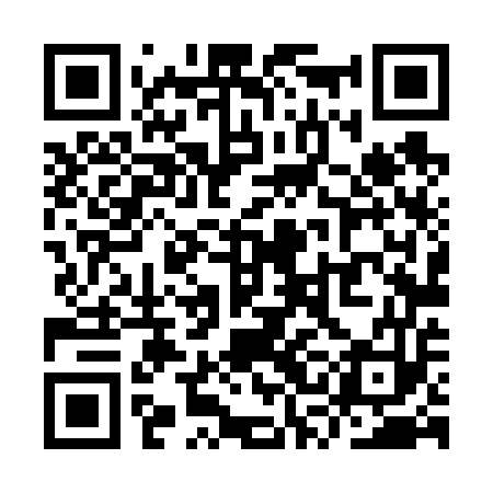 QR code for YSL653