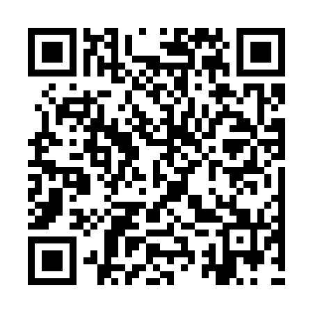 QR code for YSV371