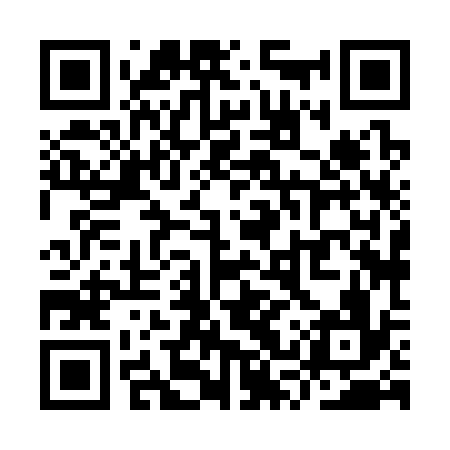 QR code for YSX336