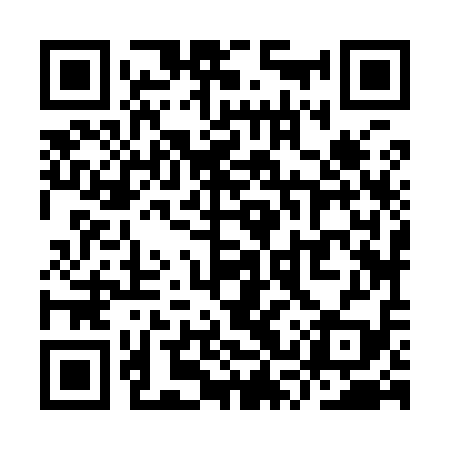 QR code for YSZ919