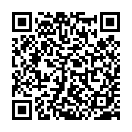 QR code for YVS481