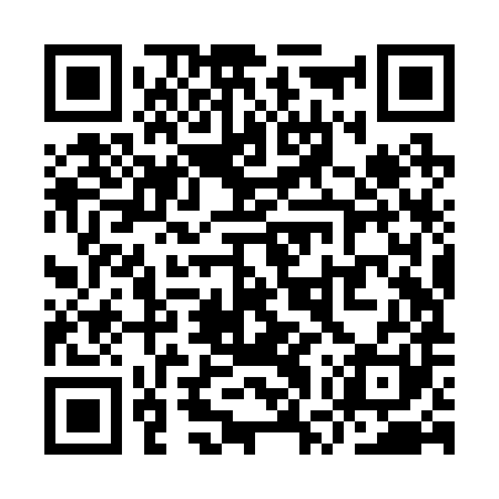 QR code for YWZR81