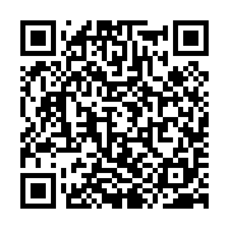 QR code for YYF095