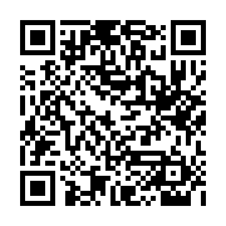 QR code for YYJ311