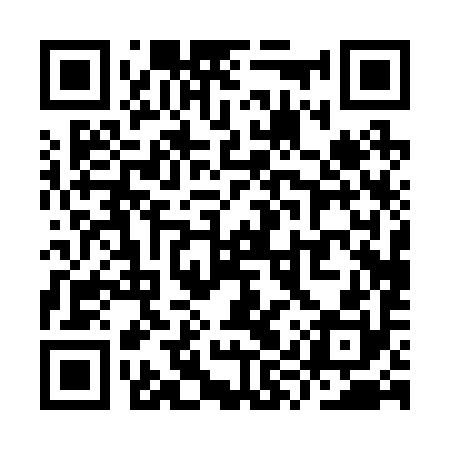 QR code for YYP290
