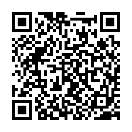 QR code for YYR313