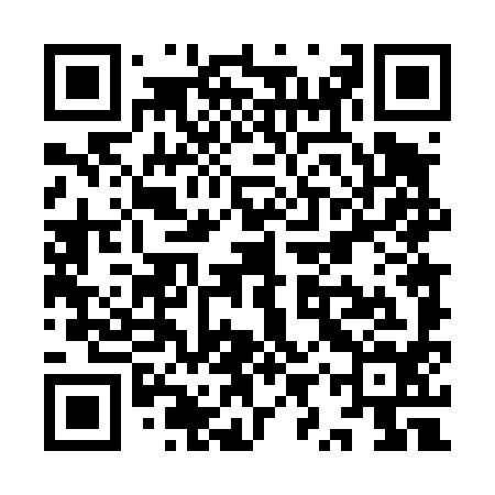 QR code for YYT494