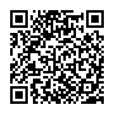QR code for YZB398