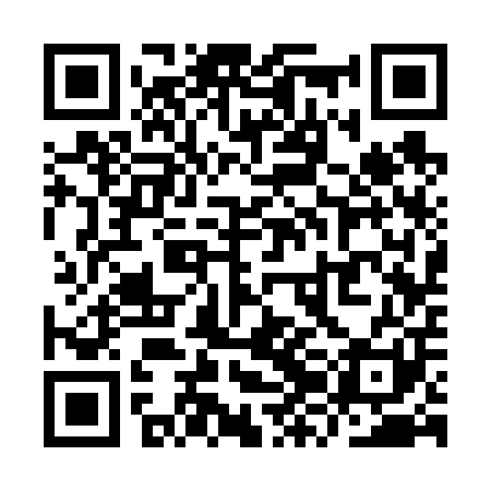 QR code for YZC601