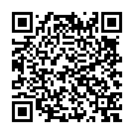 QR code for YZDL31