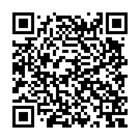 QR code for YZH463