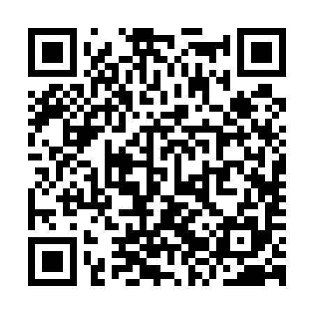 QR code for YZR595