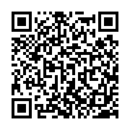 QR code for YZT713