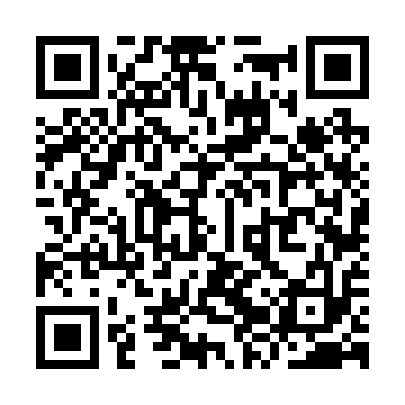 QR code for YZV213