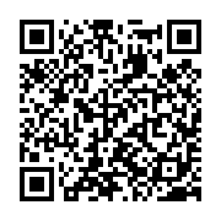 QR code for YZV491