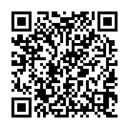 QR code for ZAO313