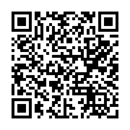 QR code for ZBI493