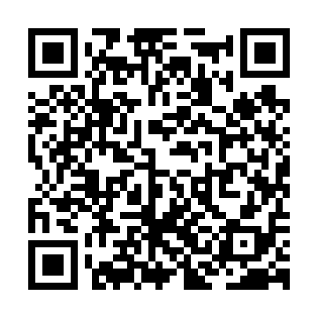 QR code for ZCI618