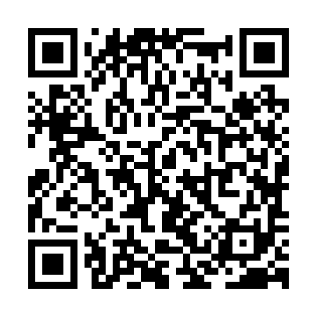 QR code for ZCZ291