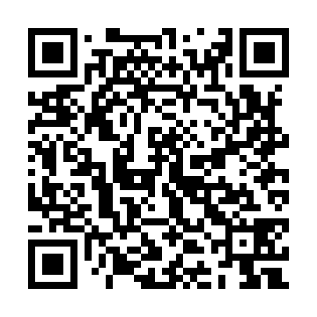 QR code for ZDBI38