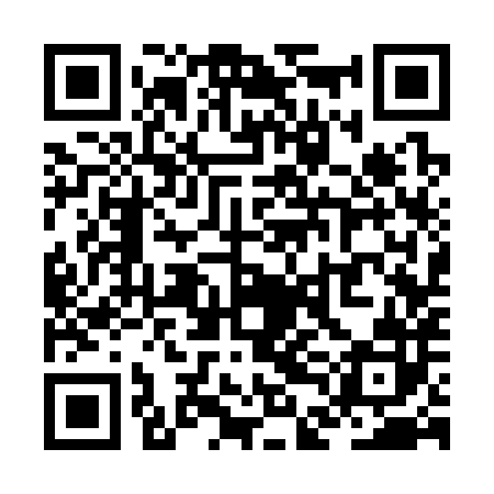 QR code for ZDC382