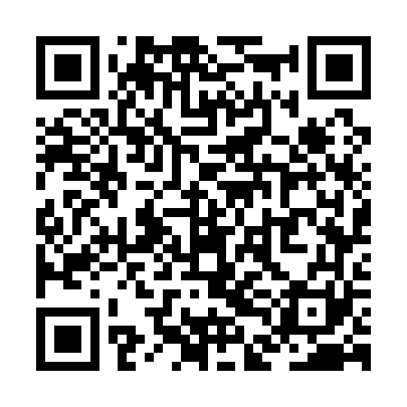 QR code for ZDG161