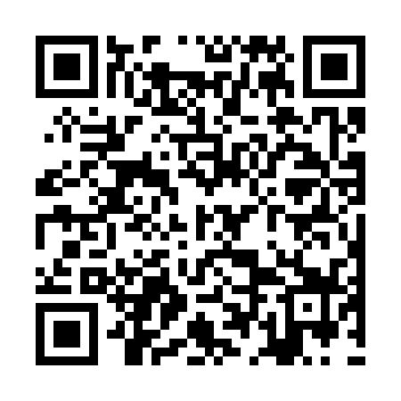 QR code for ZDG339