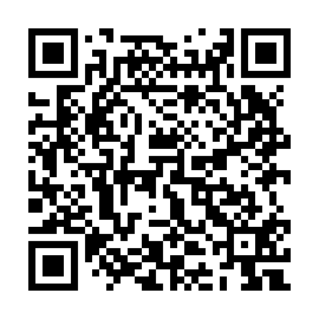 QR code for ZDIJ11
