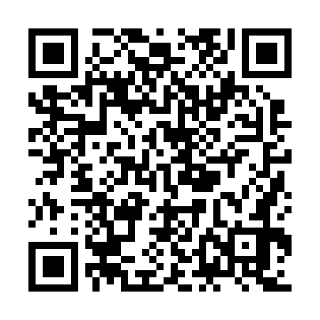QR code for ZDJ272