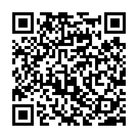 QR code for ZDL629