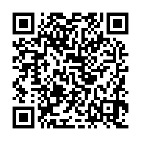 QR code for ZDL970