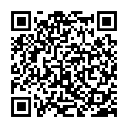 QR code for ZDM379