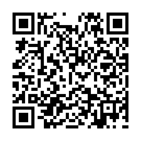 QR code for ZDN225