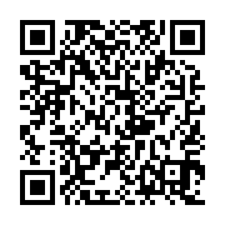 QR code for ZDN811