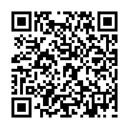 QR code for ZDO384