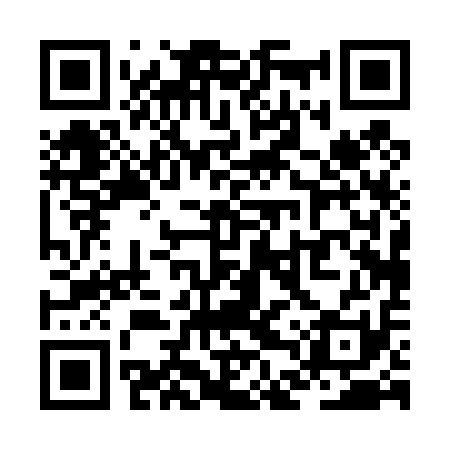 QR code for ZDP411