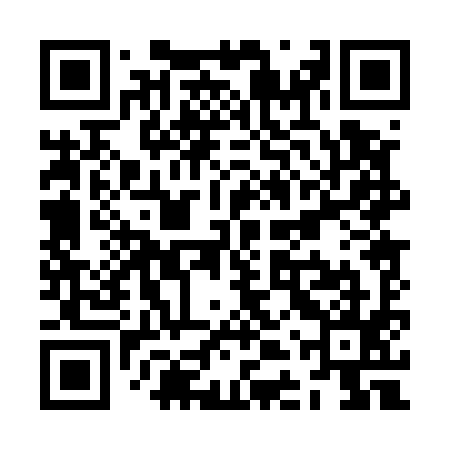 QR code for ZDP595