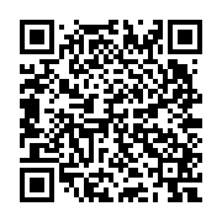 QR code for ZDPV41