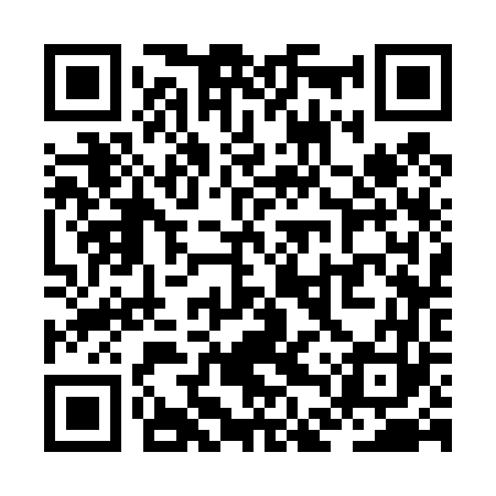QR code for ZDS463