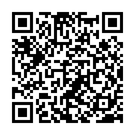 QR code for ZDSQ11