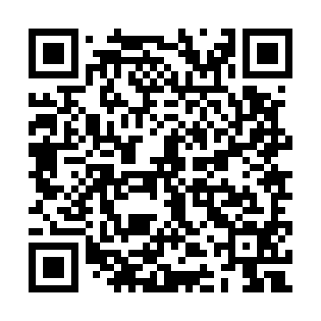 QR code for ZDZ594