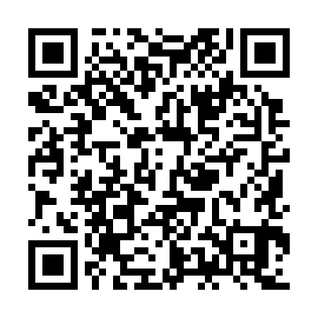 QR code for ZEI381