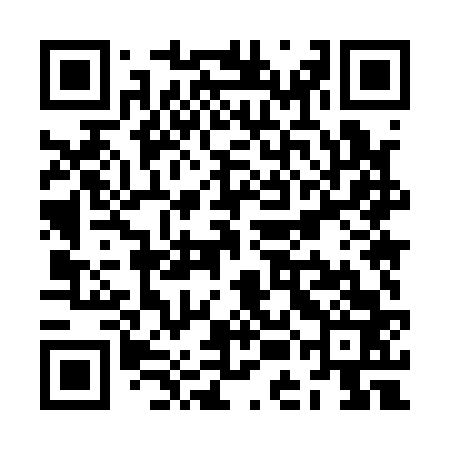 QR code for ZEM163