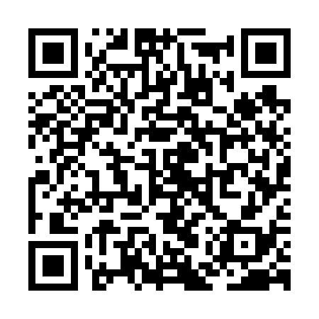 QR code for ZEW638