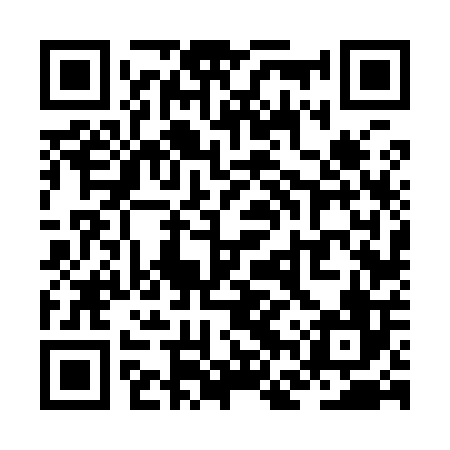 QR code for ZFV906