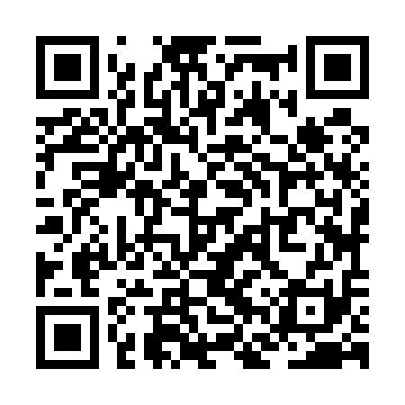 QR code for ZFZ511