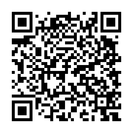 QR code for ZGD419
