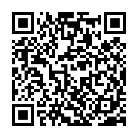QR code for ZGIT91