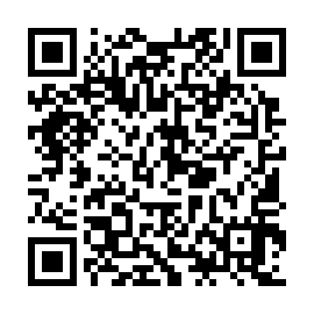 QR code for ZHM317
