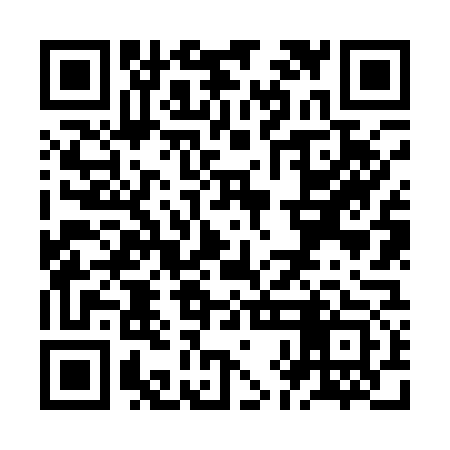 QR code for ZHN173
